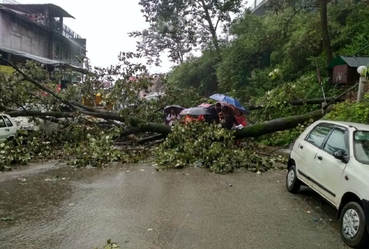 heavy rains in Himachal Pradesh, school closed in many district