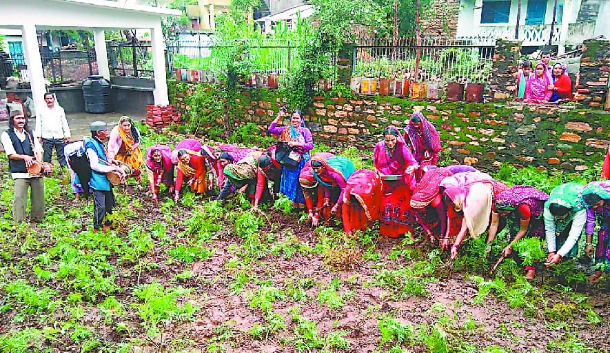 crop planted with hudkiya baul