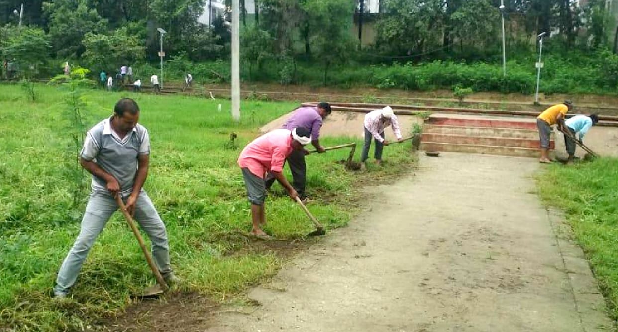 Planting in Indira Park