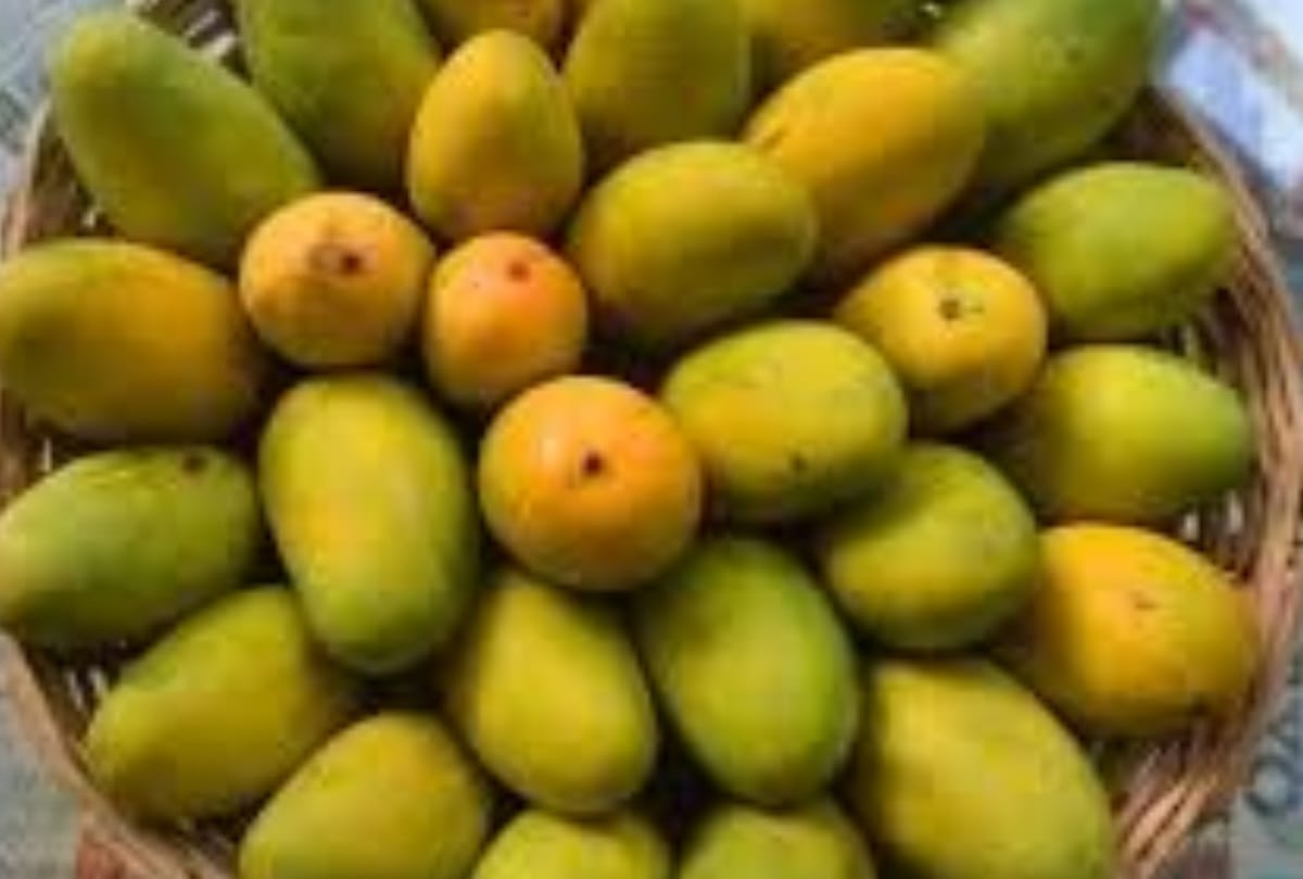 nehru sent mangoes to ram manohar lohia