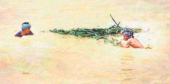 water level increases due to rain