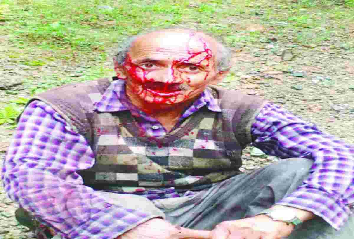 man injured in a bear attack at dalhousie chamba