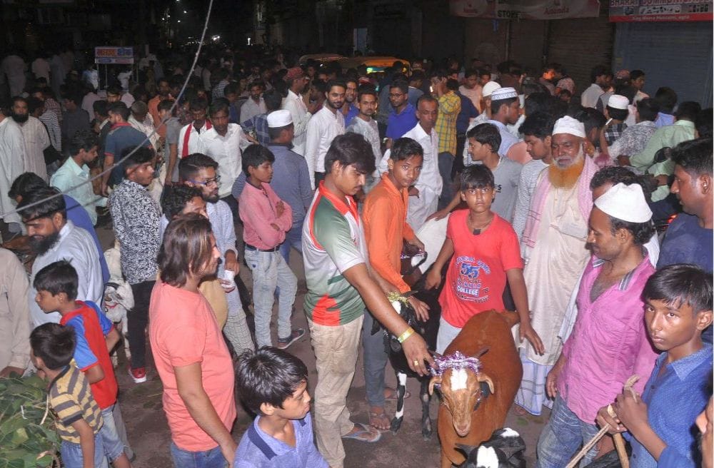 goat selling for Qurbani on bakra eid