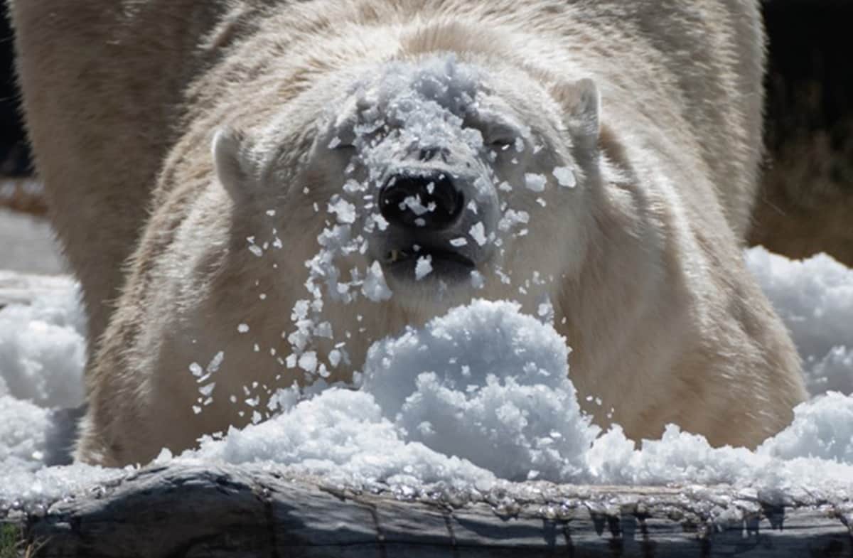 daily life of Europe peoples are start affecting from the heatwave