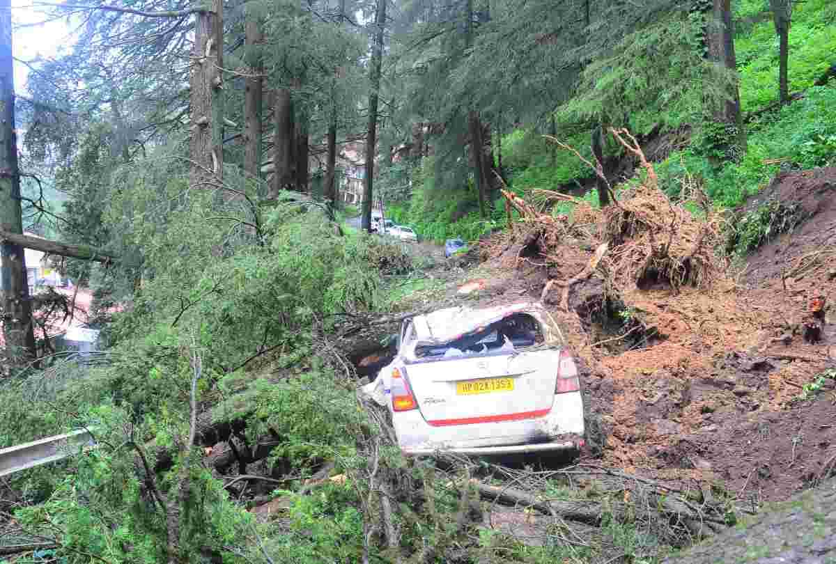 fifty building in danger and 30 vehicle damaged in shimla due to heavy rain
