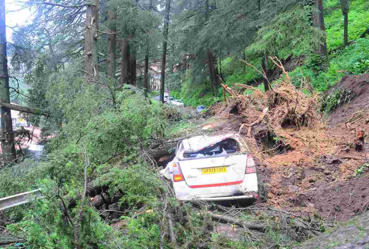 fifty building in danger and 30 vehicle damaged in shimla due to heavy rain