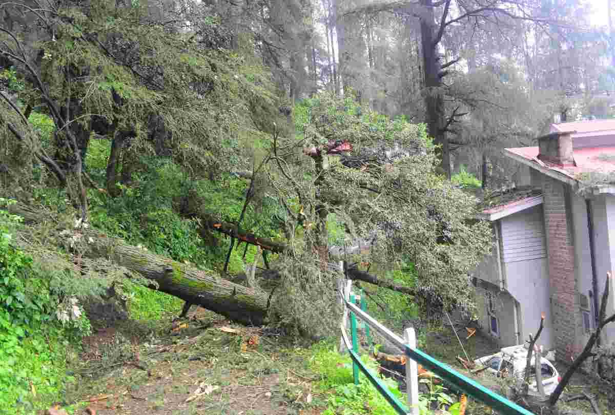 fifty building in danger and 30 vehicle damaged in shimla due to heavy rain