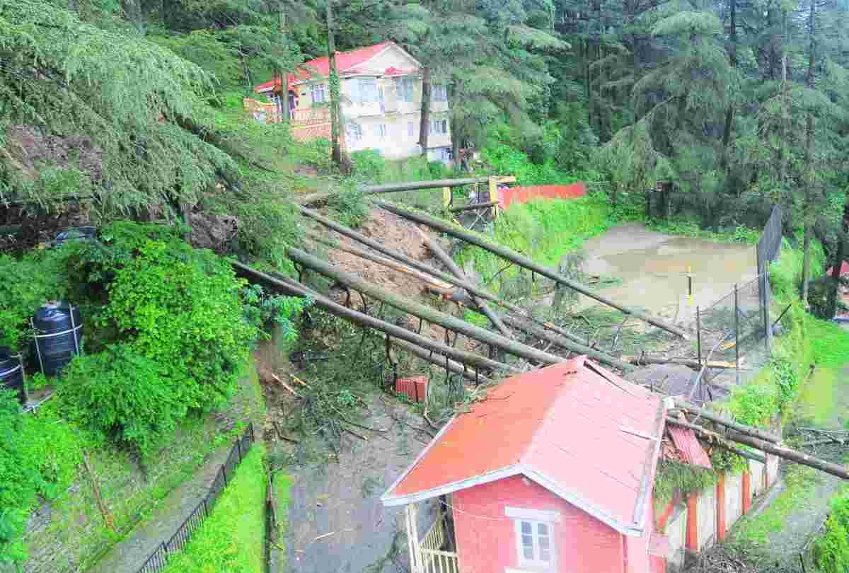 fifty building in danger and 30 vehicle damaged in shimla due to heavy rain