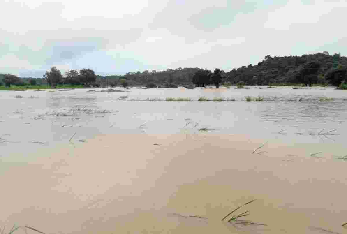 large scale loss due to heavy rainfall continued in himachal