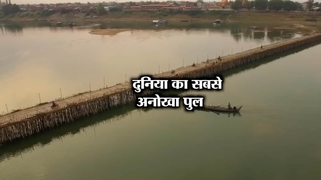 bamboo bridge