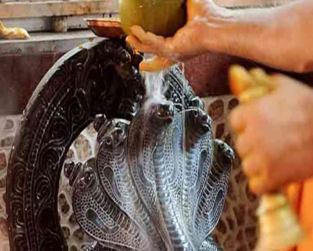 nag panchami 2019 Bollywood Song On Nag Panchami