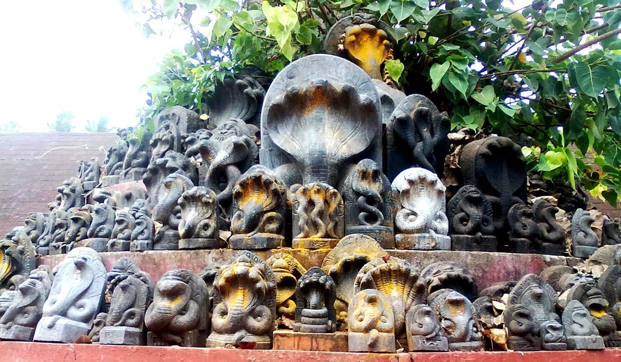 famous temple of snakes which is famous for kaal sarp yog in india