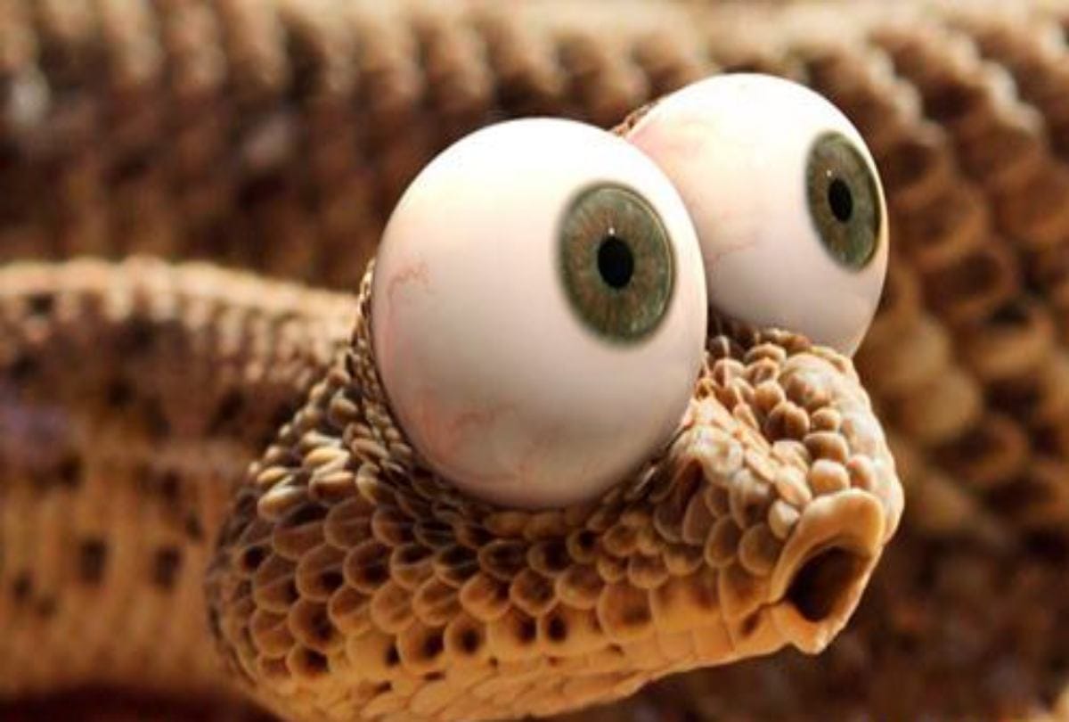Naga Panchami 2018 funny jokes sms wallpapers on snakes for whatsapp