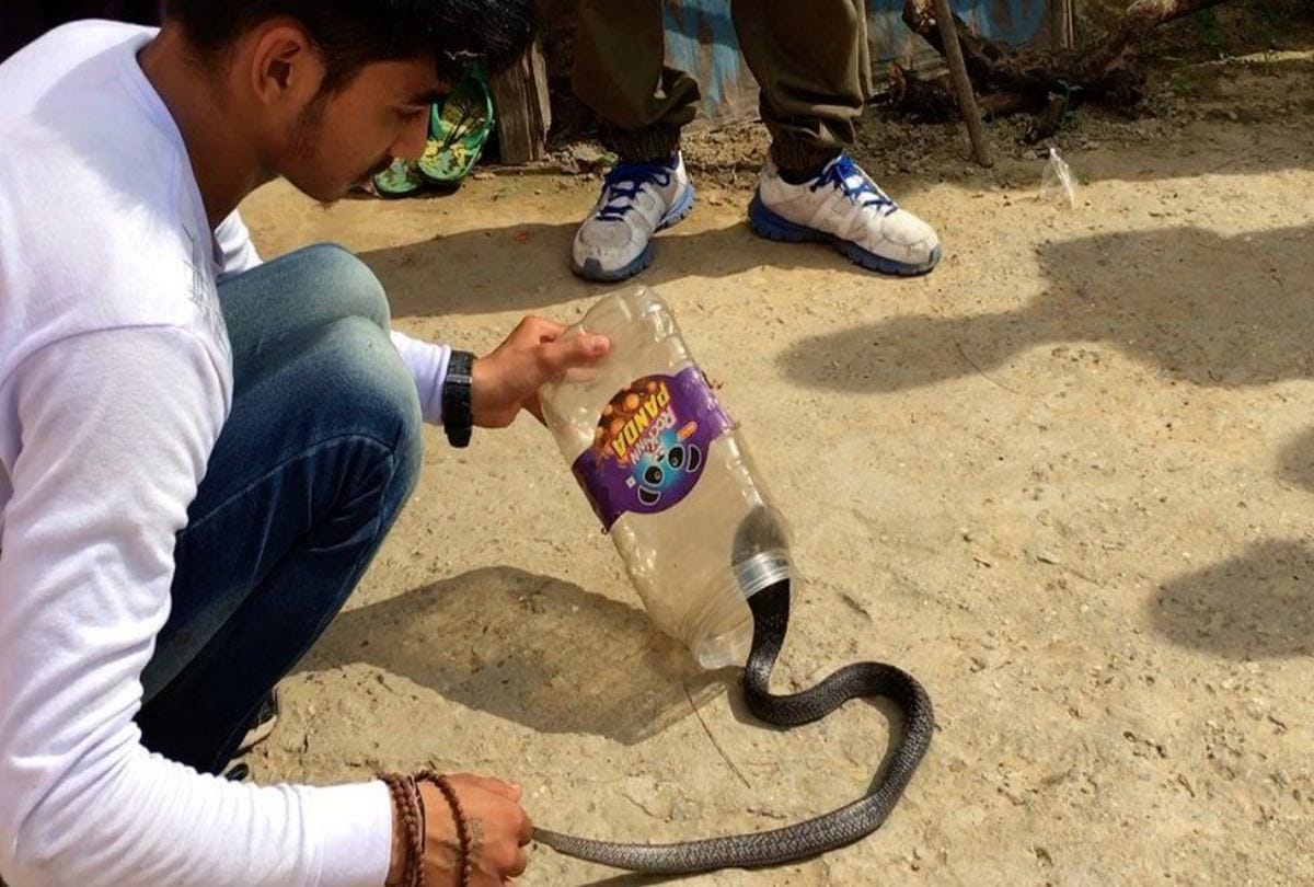 Meet Arjun Kashyap Catching Snake Since Childhood At Ramnagar In Uttarakhand
