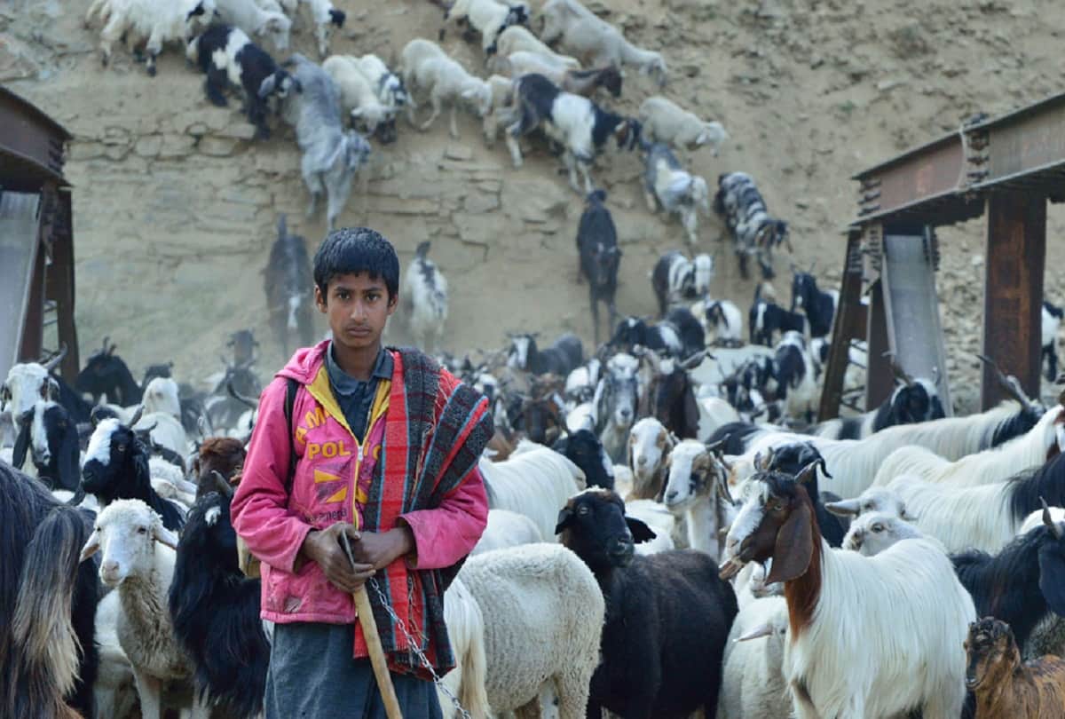 Karim Mohammed will show the lives of Bakarwals