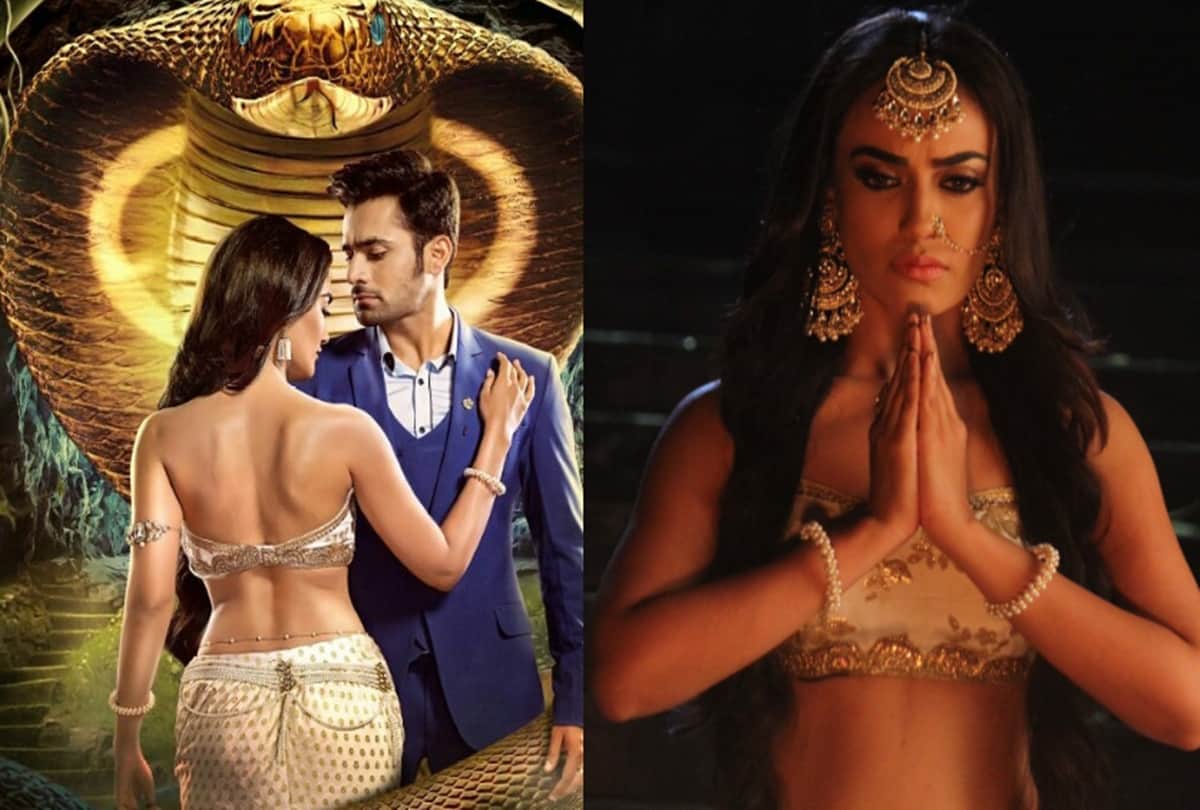 Ekta Kapoor serial Naagin 3 may off air soon in February