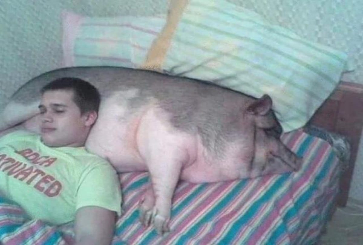 These Bizarre pictures Will Make Your Brain Hurt