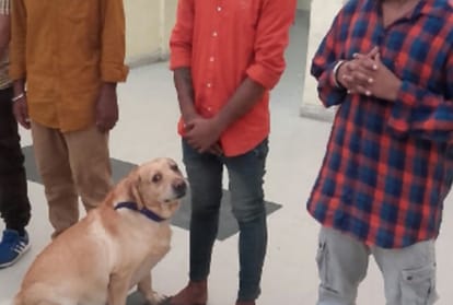 Special Dogs catch Drug addicts posted in Kapurthala jail