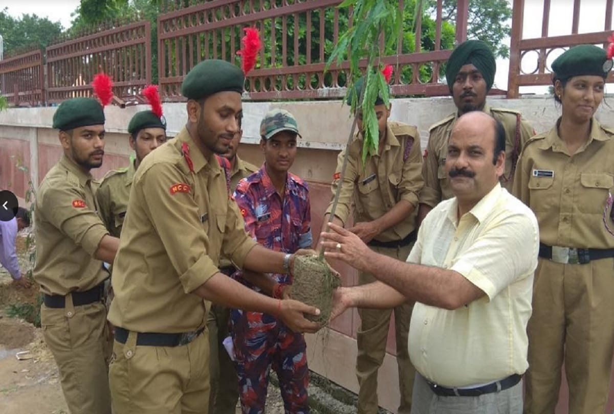 NCC cadets of Hindustan College planted trees