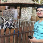 donkey in zoo