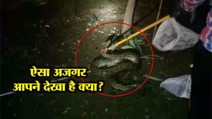 Ajgar found in university premises in meerut