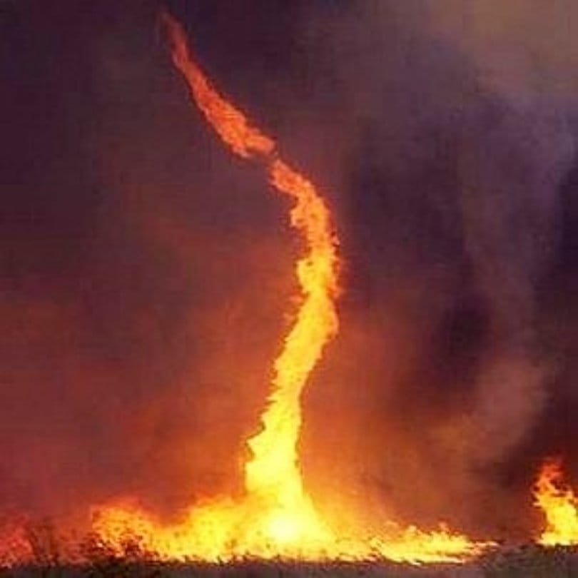 fire became like tornado from land to sky, natures dangerous phenomena is named 'firenado'