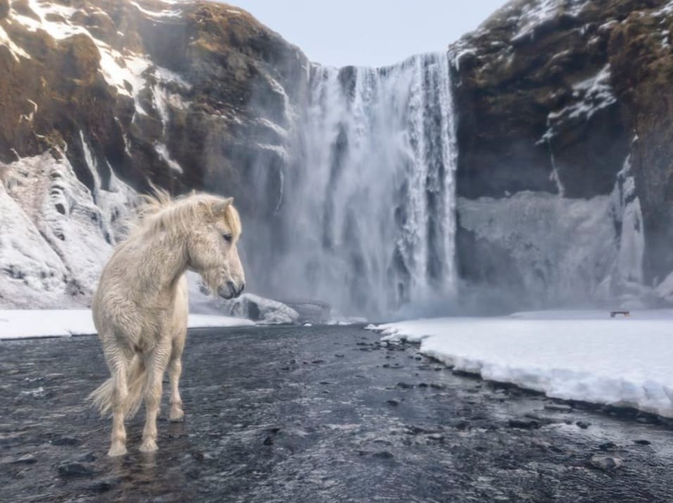 International Photography Day best photos of 2018