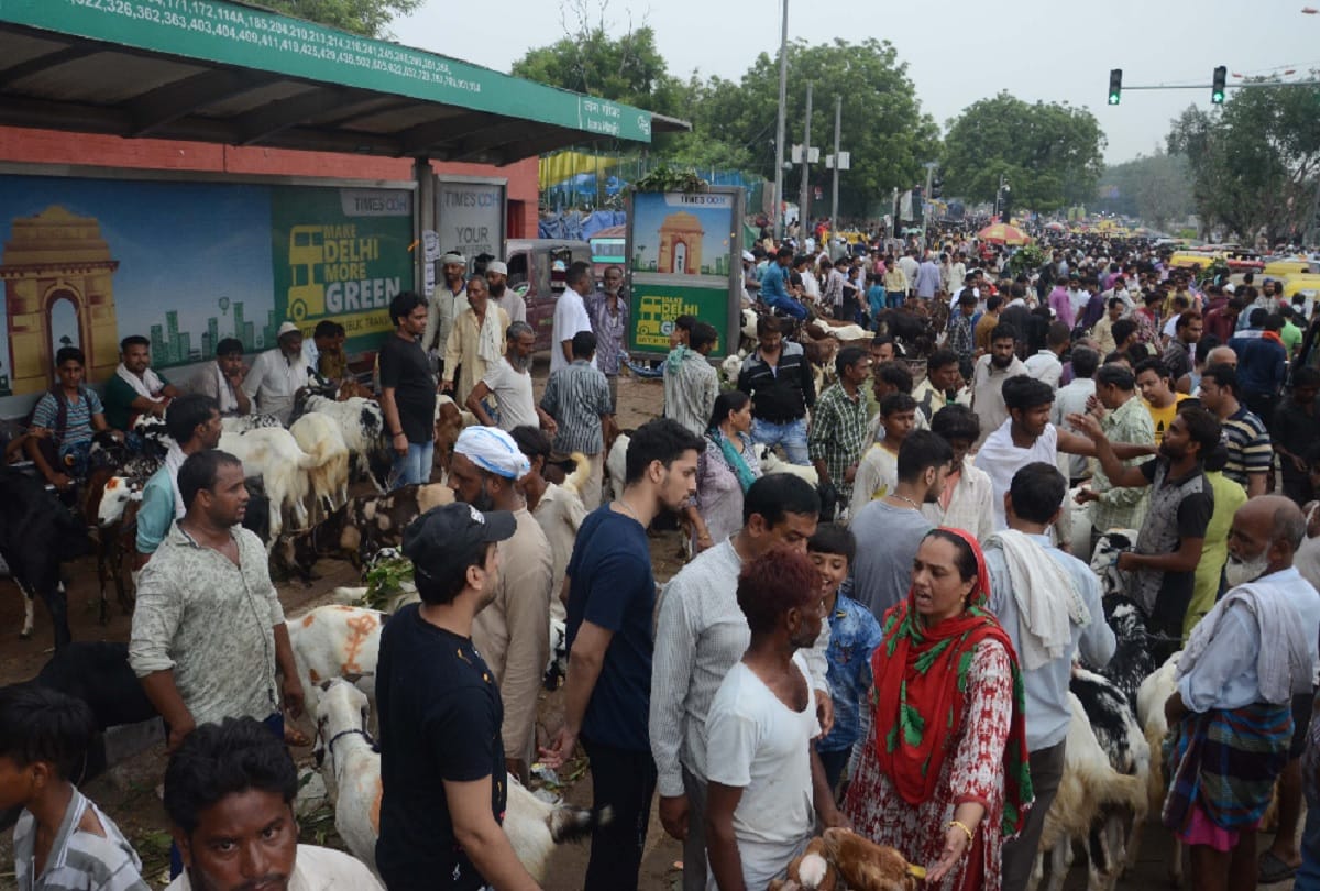 Five lakhs of Alwar breed goat is the center of attraction on eid in jama masjid delhi