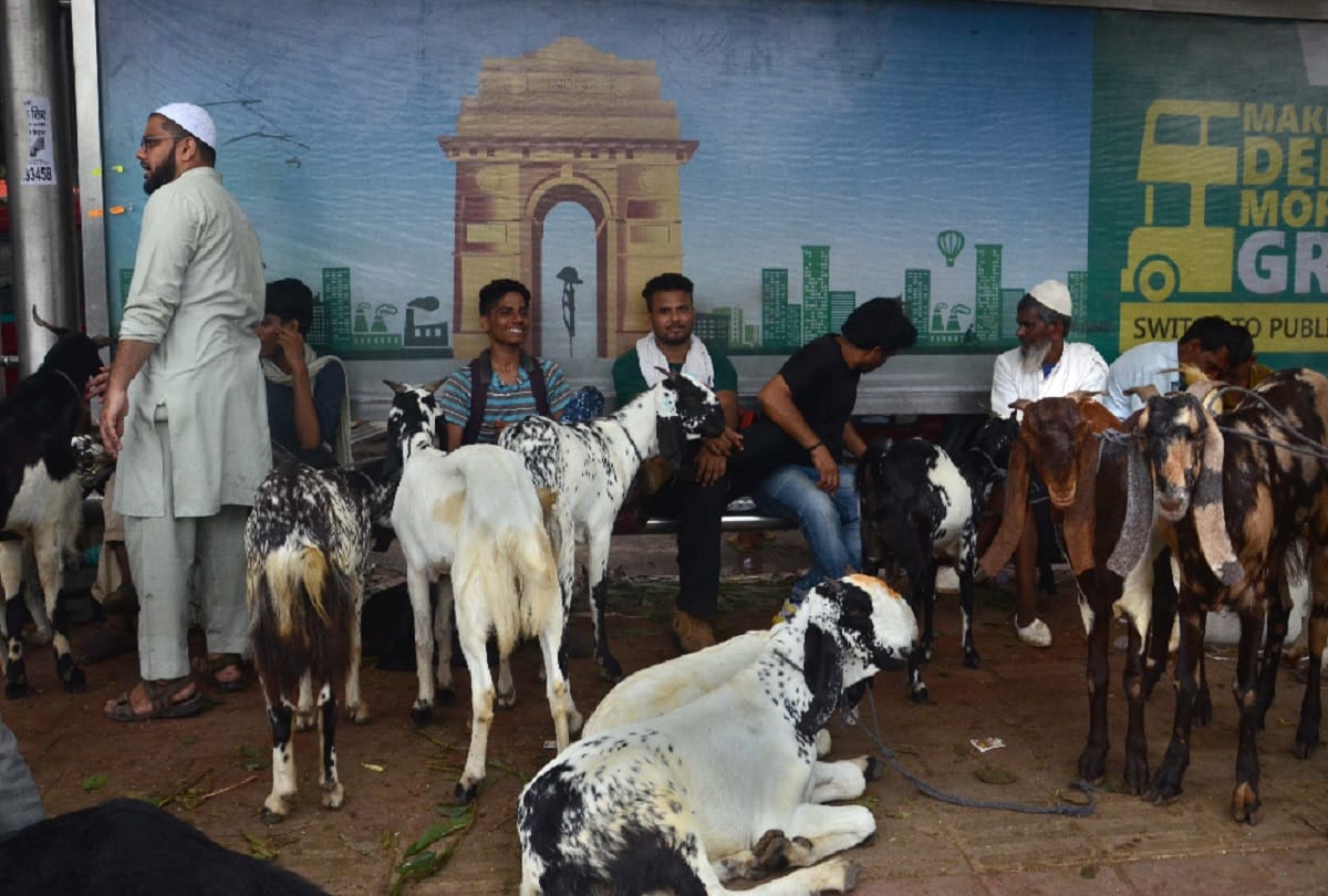 goat bought by giving fake notes in delhi one arrested