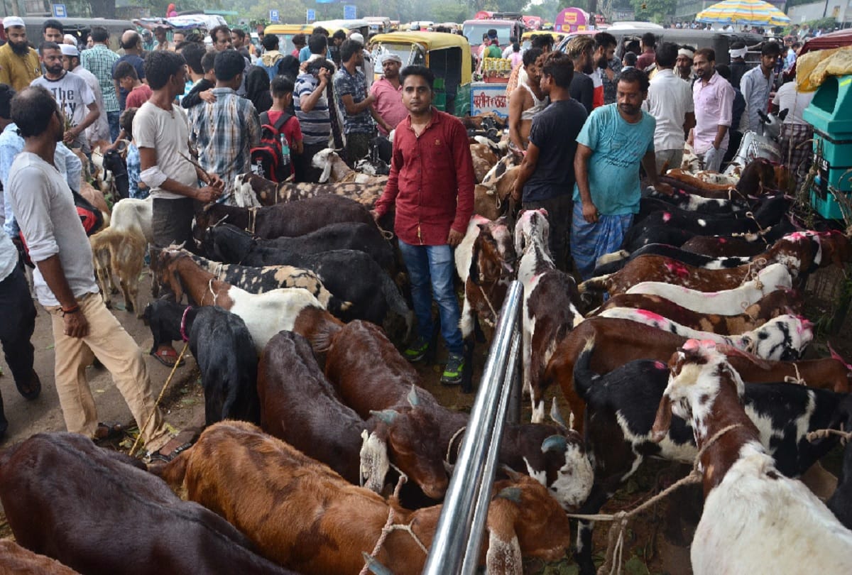 frauds active oin ghazipur baqra mandi