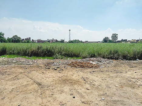 22 Bigha Land Entering the Municipality Name