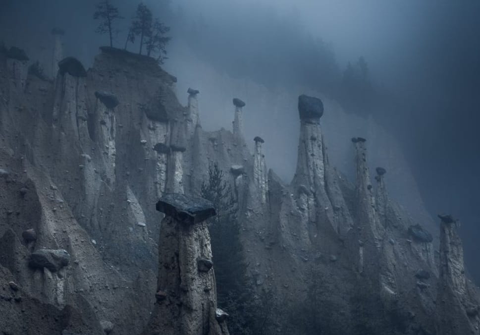 International Photography Day best photos of 2018