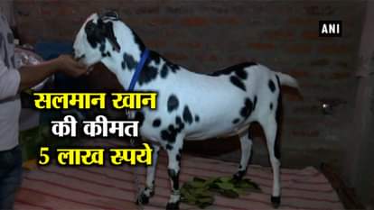 GOAT NAMED SALMAN KHAN GOES ON SALE OF RS 5 LAKH IN UTTAR PRADESH’S GORAKHPUR FOR EID AL-ADHA
