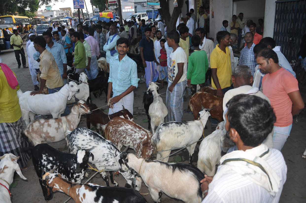 Bucket market rises, crowded crowd