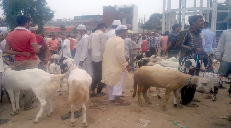 Eid: SP MLA's disputed statement, told SSP, What is the advantage of spoiling the environment