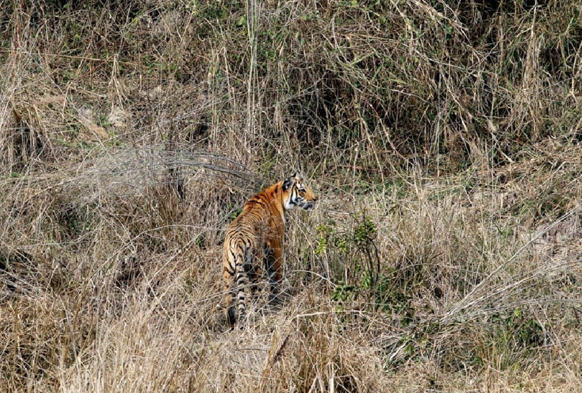 World Photography Day: Meerut camera club awarded photographs see in pics