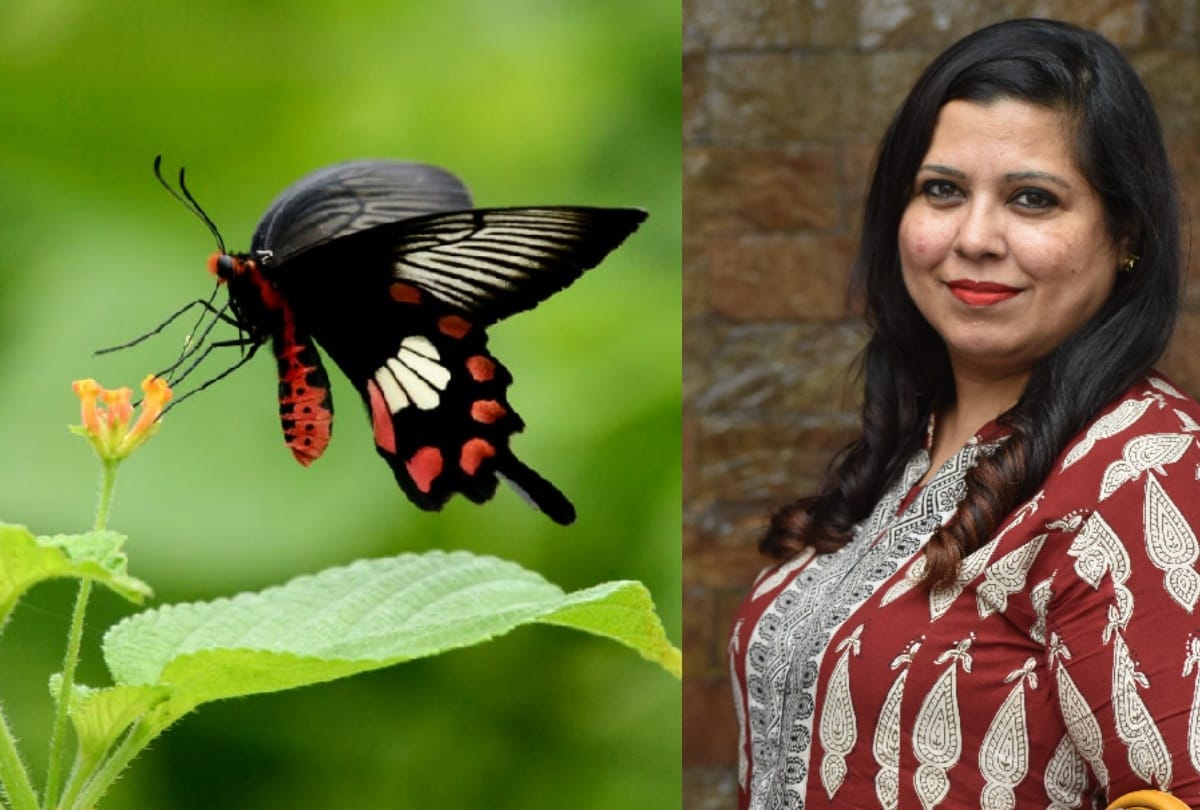 World Photography Day: Meerut camera club awarded photographs see in pics