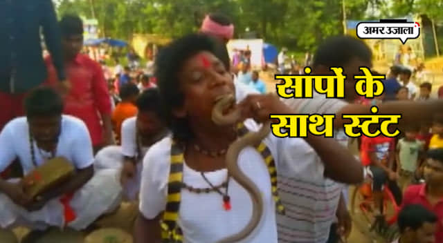 सांपों के साथ खिलवाड़