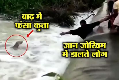 Inspiring Video: Dog life Saved By People of Kerala