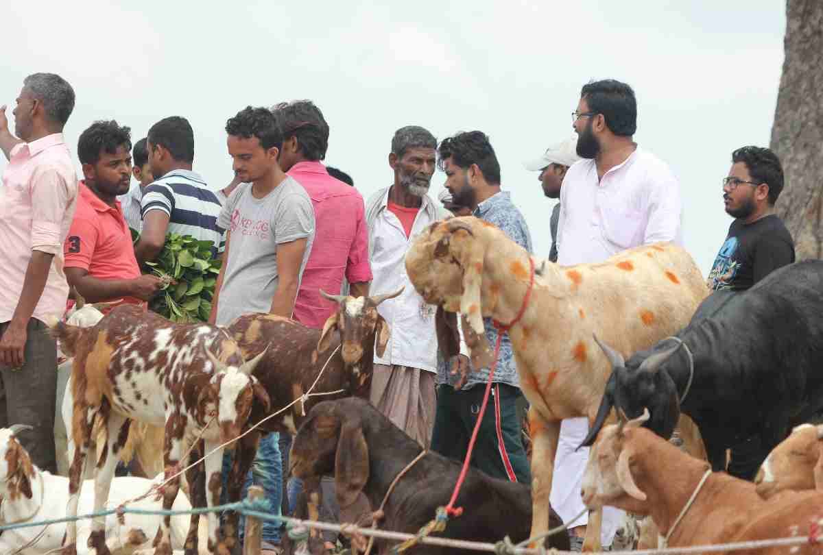 bakrid festival celebration in lucknow