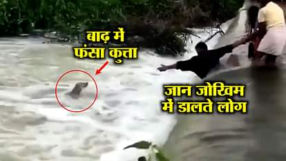Inspiring Video: Dog life Saved By People of Kerala