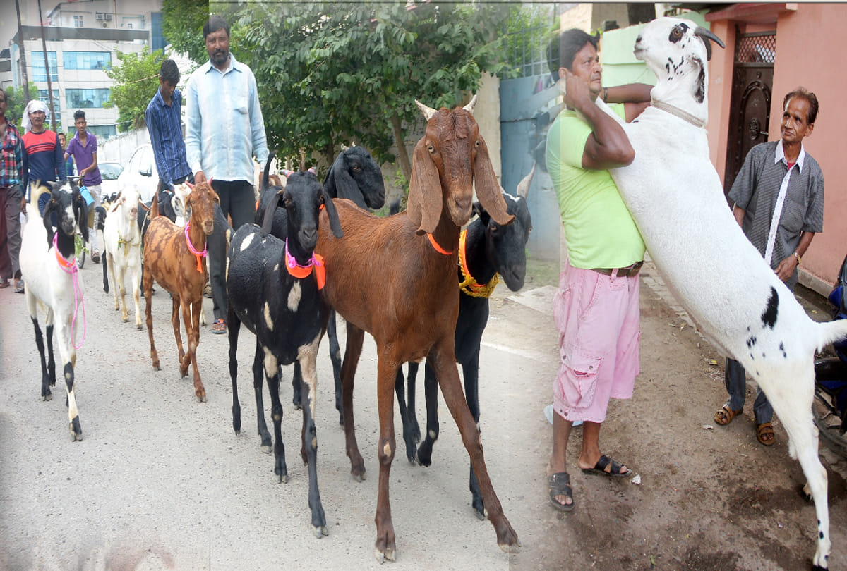 Eid al-Adha on Wednesday 22 August