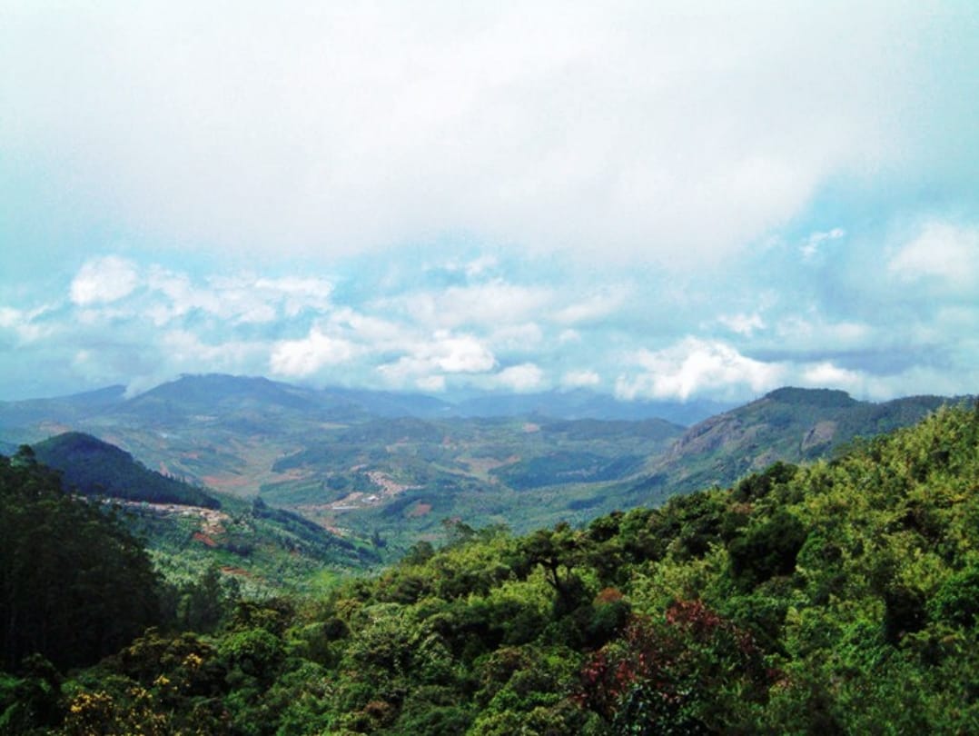 Know about Jatinga valley that is famous for birds suicide
