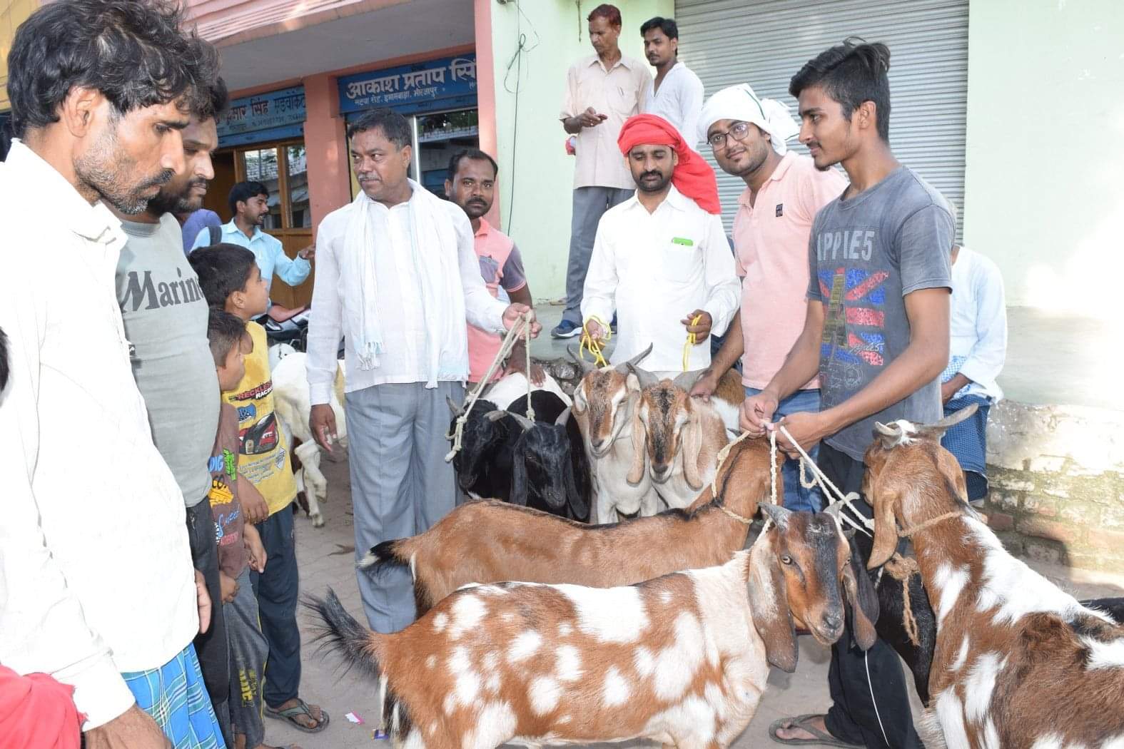 बकरीद के लिए बकरा खरीदते लोग।