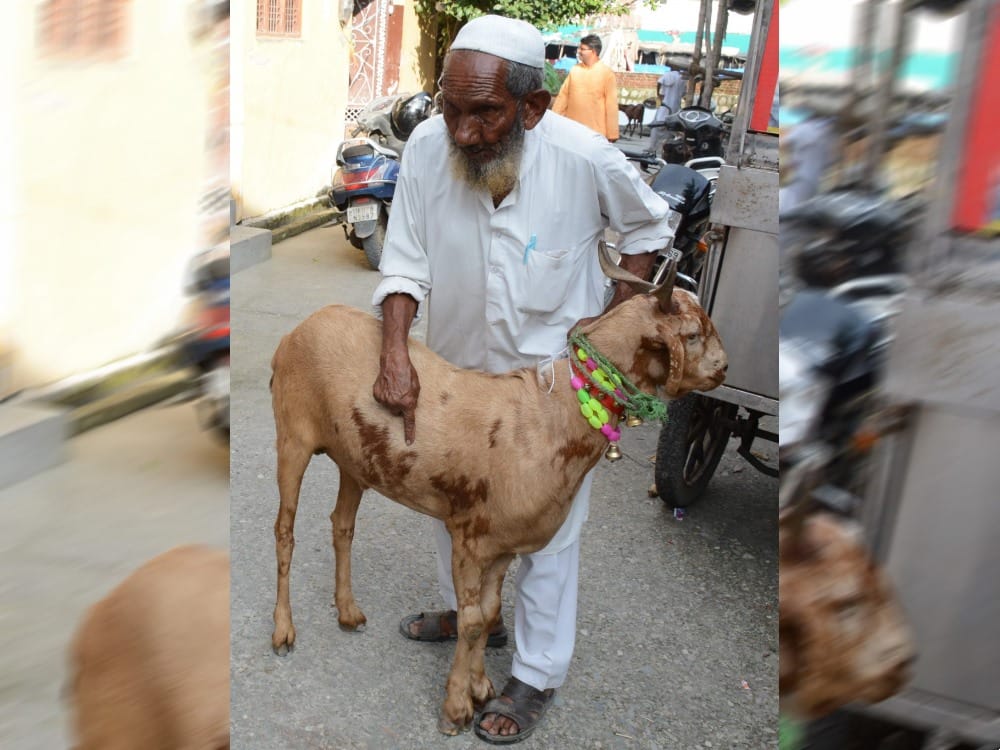 Bakri eid 2018: allah and muhammad emerged on this goat owner did not sell in 65 lakh