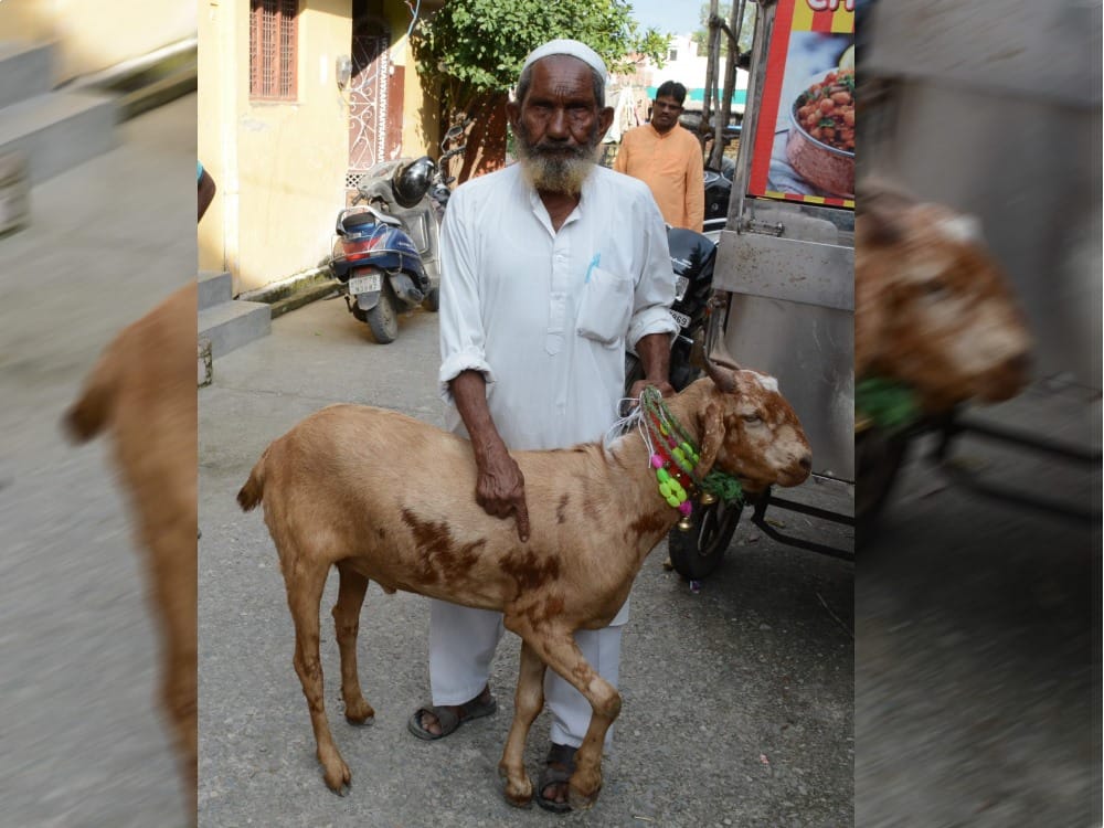 Bakri eid 2018: allah and muhammad emerged on this goat owner did not sell in 65 lakh