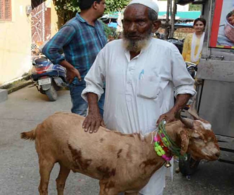 Bakri eid 2018: allah and muhammad emerged on this goat owner did not sell in 65 lakh