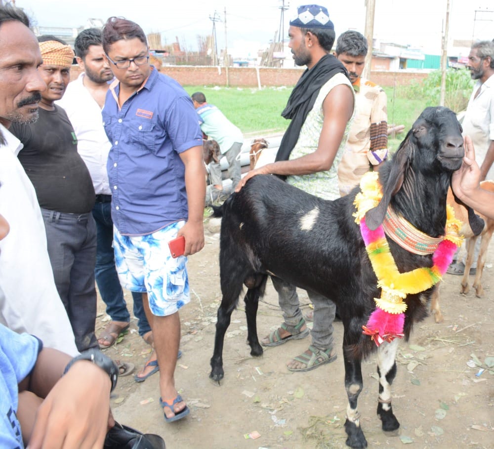 bakrid 2018 slaughter house order of uttarakhand high court