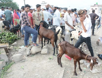 bakrid 2018 slaughter house order of uttarakhand high court