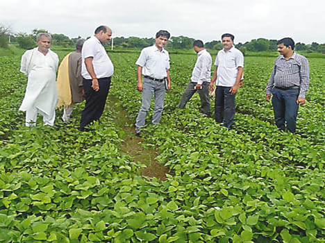 Assistant director of central schemes took feed back